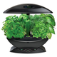 Miracle-Gro